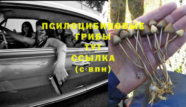 альфа пвп Армянск