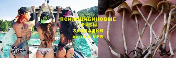 дживик Арсеньев